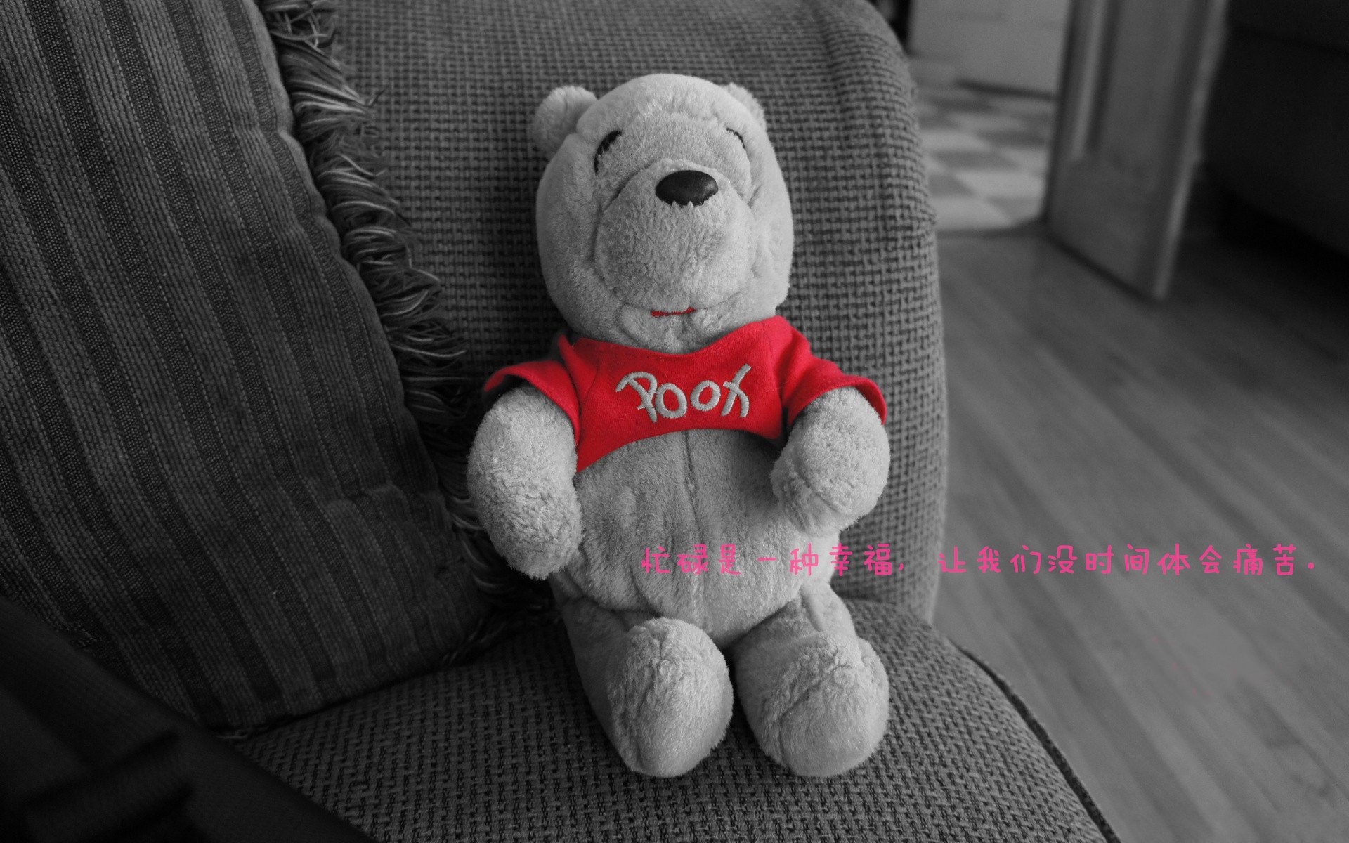 “青训导师交流会成功举办,推动全国青训水平提升”,青年训练队