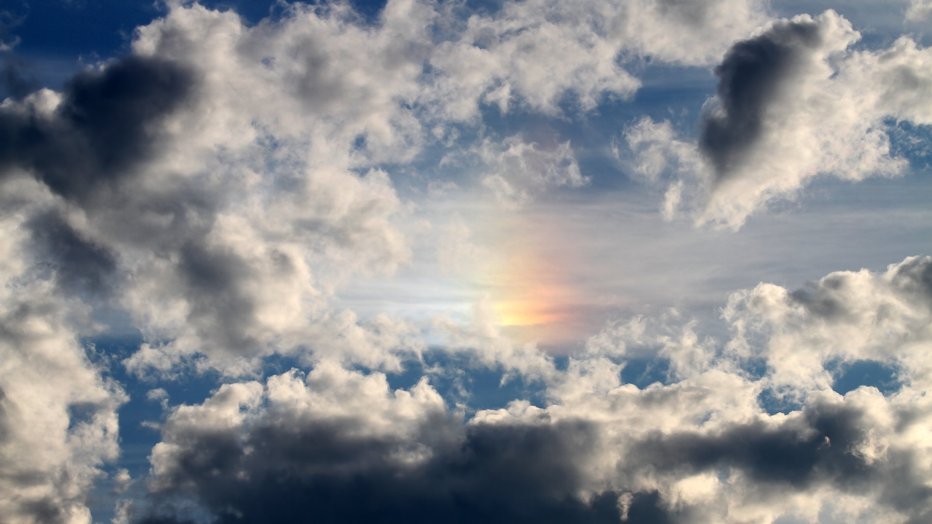 东契奇父亲身份首次公开露面,引爆社交媒体,东契奇 父母